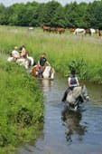 Flussreiten in der Hase