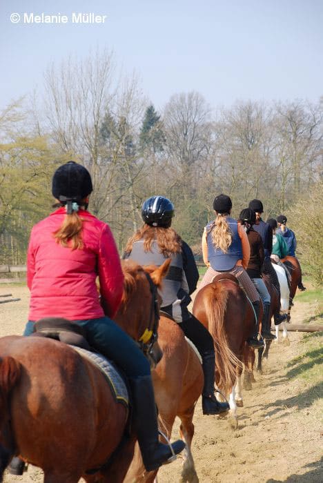 Ausritt in der Gruppe auf einem Feldweg
